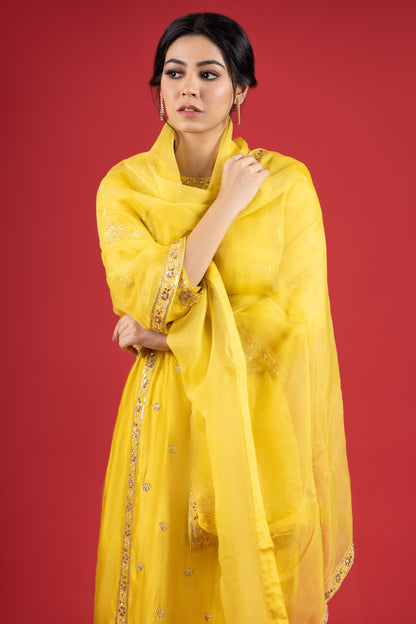 Bright Yellow Embroidered Set