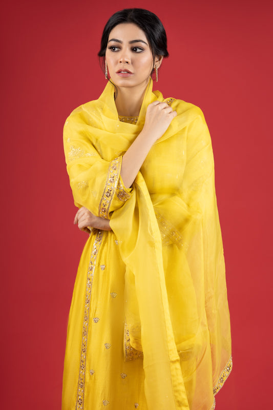 Bright Yellow Embroidered Set