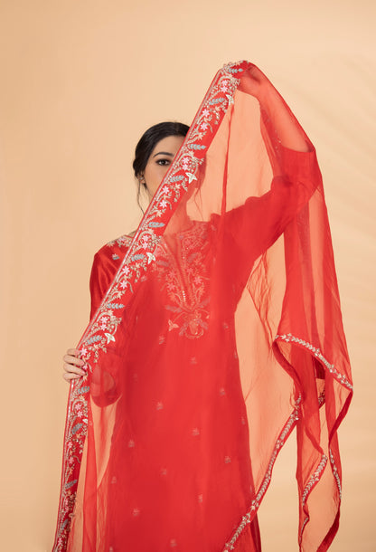 Red Multi Resham Set